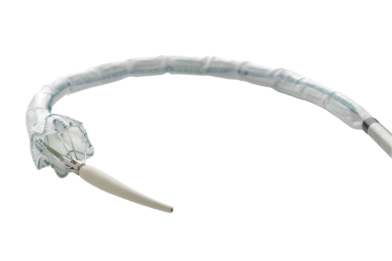 Relay Pro™ Thoracic Stent-Graft System