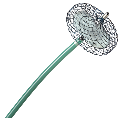 AZUR™ Vascular Plug